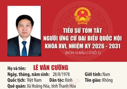 [Infographics] Tiểu sử ứng cử viên Đại biểu Quốc hội khóa XVI Lê Văn Cường