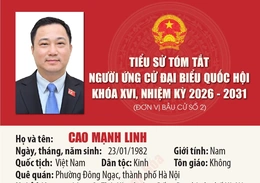 [Infographics] Tiểu sử ứng cử viên Đại biểu Quốc hội khóa XVI Cao Mạnh Linh