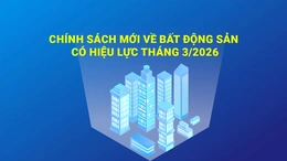 [Infographics] Chính sách mới về bất động sản có hiệu lực tháng 3/2026