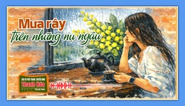 [Podcast Tản văn] Mưa rây trên những nụ ngâu