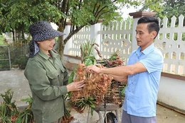 Xứng danh Bí thư chi bộ xuất sắc tiêu biểu toàn quốc