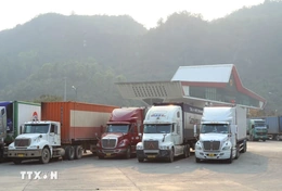 Chủ động chuẩn bị, bảo đảm thực thi đồng bộ Nghị định 46 và Nghị quyết 66.13