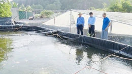 Nâng cao hiệu quả quản lý nuôi trồng thủy sản