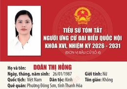 [Infographics] Tiểu sử ứng cử viên Đại biểu Quốc hội khóa XVI Doãn Thị Hồng