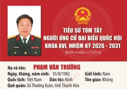 [Infographics] Tiểu sử ứng cử viên Đại biểu Quốc hội khóa XVI Phạm Văn Trường