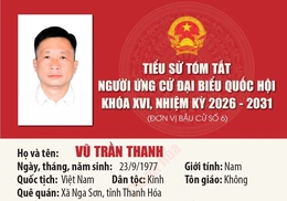 [Infographics] Tiểu sử ứng cử viên Đại biểu Quốc hội khóa XVI Vũ Trần Thanh