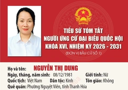 [Infographics] Tiểu sử ứng cử viên Đại biểu Quốc hội khóa XVI Nguyễn Thị Dung