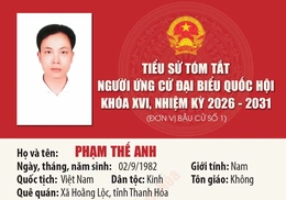 Tiểu sử ứng cử viên Đại biểu Quốc hội khóa XVI Phạm Thế Anh