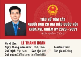 [Infographics] Tiểu sử ứng cử viên Đại biểu Quốc hội khóa XVI Lê Thanh Hoàn