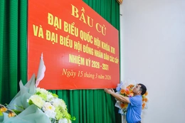 Xã vùng biển Vạn Lộc sẵn sàng cho ngày hội bầu cử