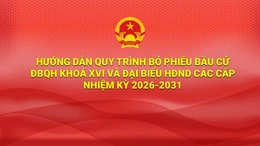 [Infographics] Hướng dẫn quy trình bỏ phiếu bầu cử ĐBQH khoá XVI và đại biểu HĐND các cấp nhiệm kỳ 2026-2031