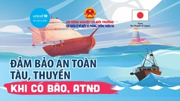 [Infographics] Đảm bảo an toàn tàu thuyền khi có bão, áp thập nhiệt đới