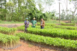 Tạo việc làm bền vững, tăng thu nhập cho lao động nông thôn