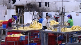 Xung đột Trung Đông: Doanh nghiệp Thanh Hóa lo đối diện nhiều khó khăn