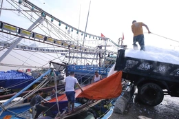 Ngư dân linh hoạt thích ứng trước “bão giá” của xăng dầu