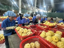 Kỳ vọng tạo thêm động lực&nbsp;tiếp sức các mô hình sinh kế