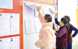 Các xã ven biển và đảo tiền tiêu sẵn sàng cho ngày bầu cử