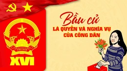 [Infographics] Bầu cử là quyền và nghĩa vụ của công dân