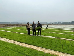 Vĩnh Lộc đưa nghị quyết đại hội Đảng bộ xã vào cuộc sống