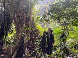 Hạt Kiểm lâm Lang Chánh tăng cường bảo vệ và phát triển rừng