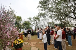 Nhịp sống mới của du lịch văn hóa xứ Thanh