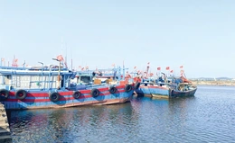Tuân thủ quy định cập cảng chỉ định&nbsp;để phát triển nghề cá bền vững