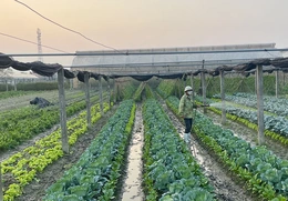 Lấy nâng cao thu nhập của&nbsp;người dân làm trọng tâm phát triển