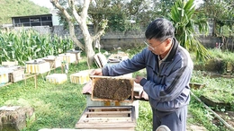 Vị ngọt thắp sáng “ước mơ quê”