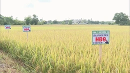 Sở hữu trí tuệ - mở “đường băng” cho kết quả nghiên cứu khoa học