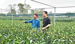 Từ nghị quyết đến cuộc sống