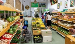 Doanh nghiệp bán lẻ thích ứng với xu hướng tiêu dùng xanh