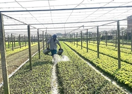 Các HTX duy trì nhịp độ sản xuất từ những ngày đầu năm