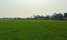 Khổng Tào - ngôi làng gần 700 năm tuổi