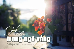 [E-Magazine]: Hoa trong ngõ vắng