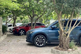 Triển khai thu phí không dừng tại bến xe, bãi đỗ xe trong đô thị&nbsp;đảm bảo theo đúng lộ trình