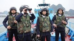 Xử lý nghiêm hành vi buôn lậu, gian lận thương mại, vận chuyển trái phép xăng dầu qua biên giới