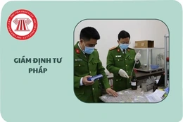 Thanh Hoá triển khai thi hành Luật Giám định tư pháp