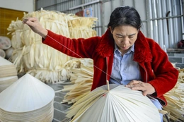 Nón lá Trường Văn: Giữ nghề để giữ sinh kế