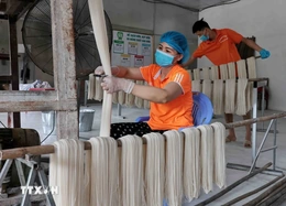 Phát triển mạnh doanh nghiệp tư nhân, nâng cao hiệu quả doanh nghiệp nhà nước