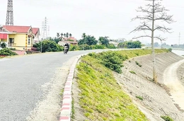 Phát triển hạ tầng phục vụ phòng, chống thiên tai