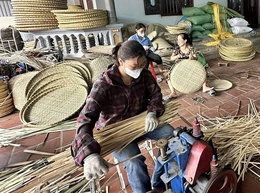 Phát triển ngành nghề&nbsp;nông thôn