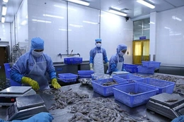 Gỡ khó cho doanh nghiệp thủy sản