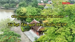 [REVIEW OCOP] Câu chuyện đậu phụ làng Yên Hoành - Từ hạt đậu quê đến chuẩn OCOP