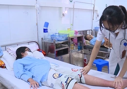 Cảnh báo nguy cơ sốt xuất huyết vào mùa sớm