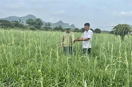 Tống Sơn đưa nghị quyết vào cuộc sống