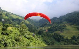 Cả nước có hơn 14,9 triệu ha rừng với tỷ lệ che phủ rừng toàn quốc đạt 42,03%