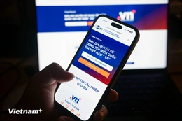 Tên miền .vn sẽ cấp phát tự do nếu 2 lần đấu giá không thành