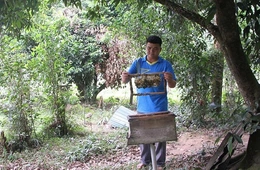 Đa dạng các biện pháp giảm nghèo ở Xuân Thái