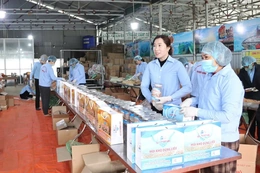 Những phụ nữ làm kinh tế giỏi,&nbsp;an sinh xã hội tốt