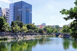 Đổi tên các đội quản lý điện lực khu vực thuộc Công ty Điện lực Thanh Hóa từ ngày 01/4/2026